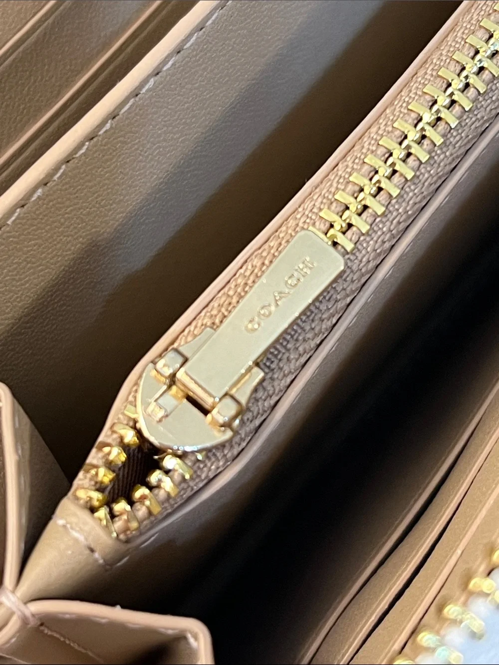 Coach Long Zip-Around / Accordion Wallet in Signature C Canvas with Bee Print